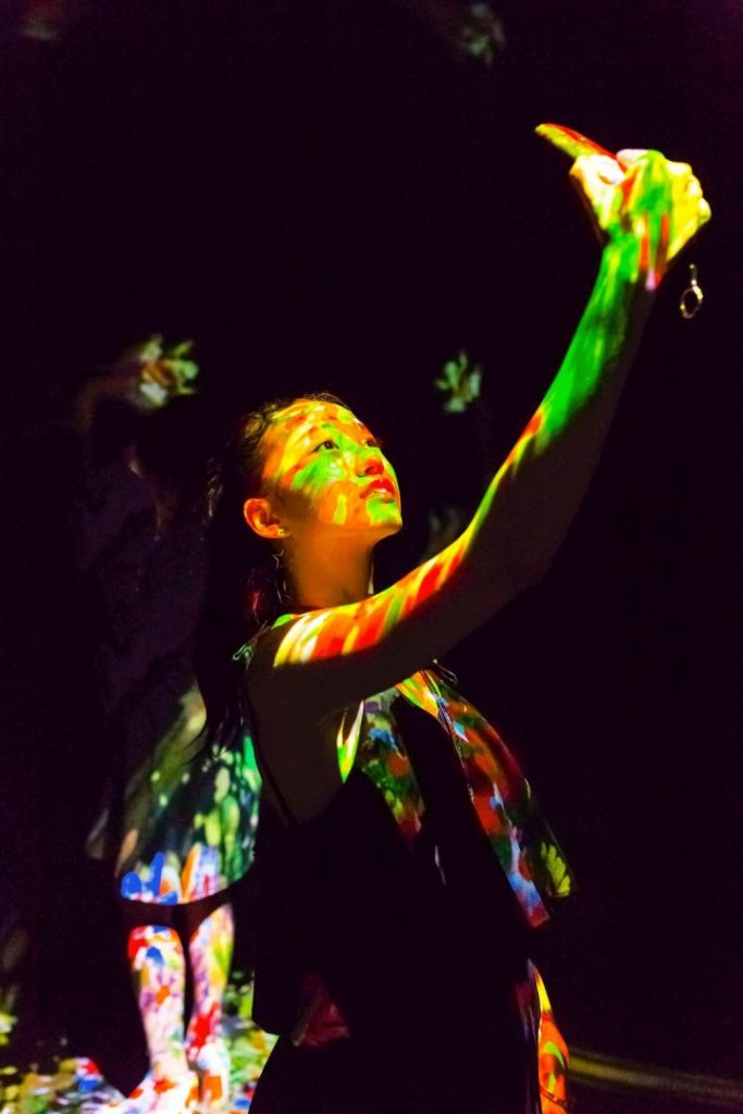 Teamlab未來樂園 27